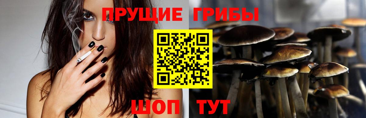 Нурлат  Псилоцибиновые грибы Magic Shrooms  Вход с VPN  Галлюциногенные грибы Cubensis 